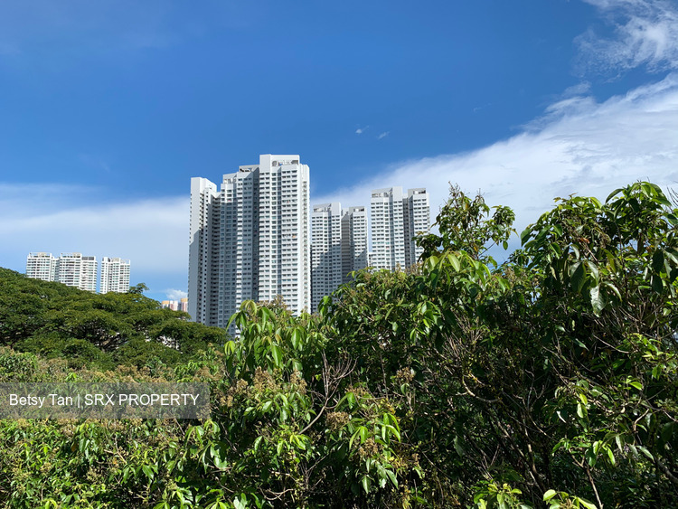 Braddell View (D20), Apartment #257291761